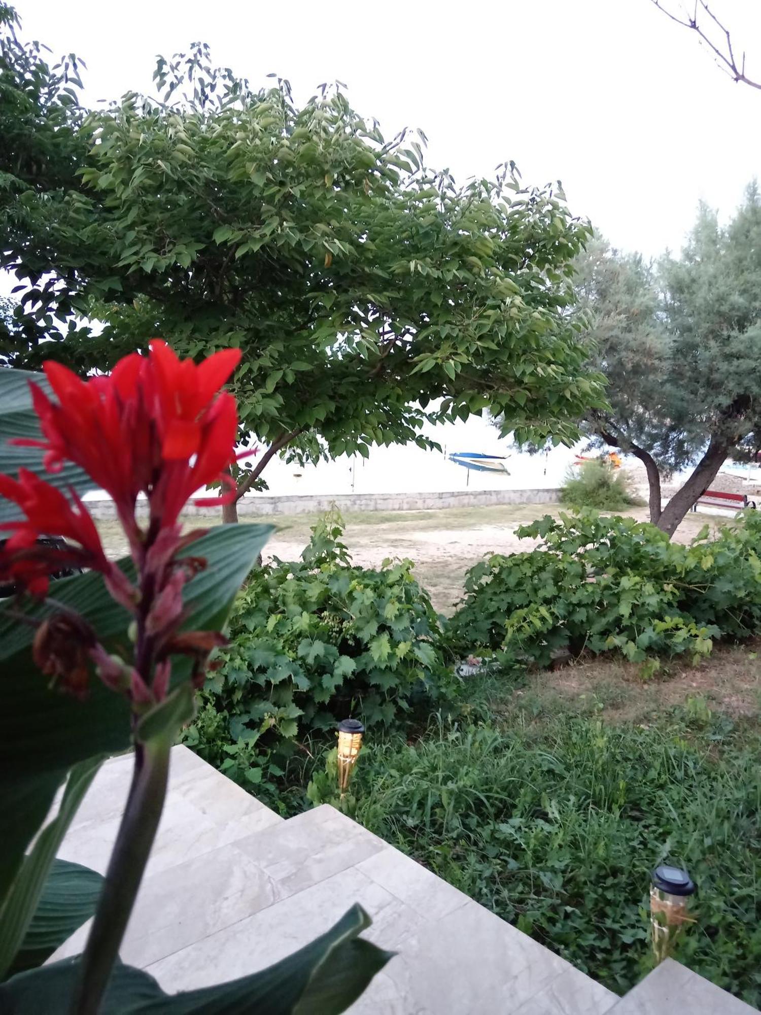 Seaview Holiday Apartments, Ventura Нін Екстер'єр фото